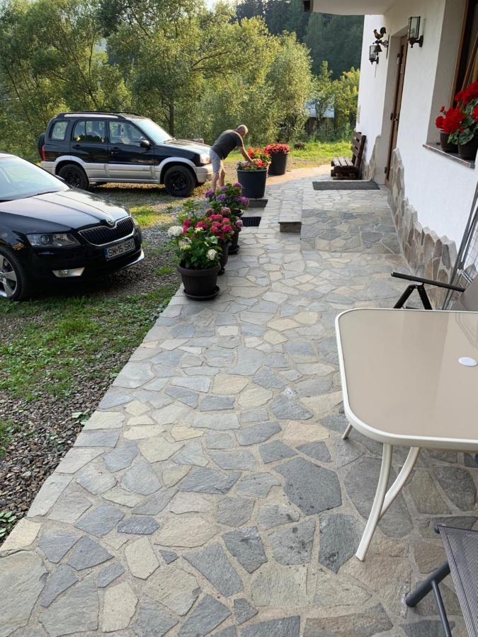 Pensiune Pensiunea Pietrosul *